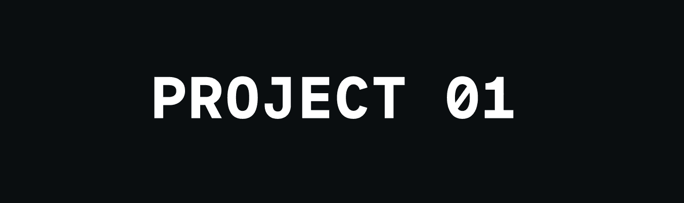 Project 01